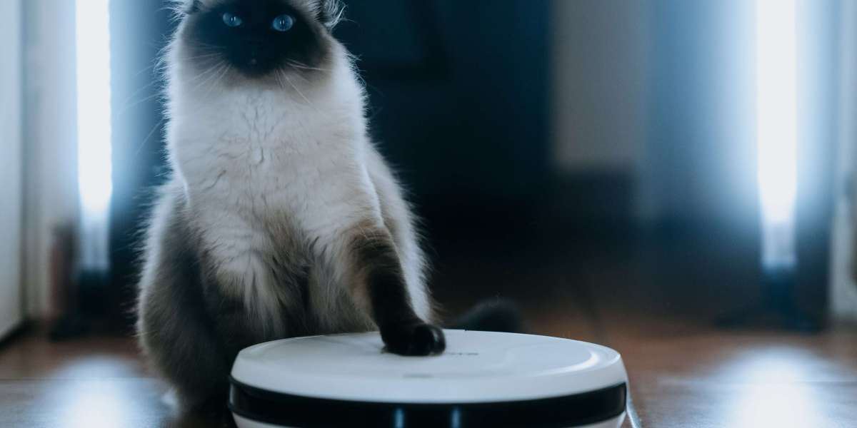 You'll Never Guess This Automatic Cleaning Robot's Tricks